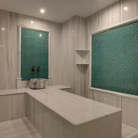 Dedeman Guere Nurhayat Thermal Resort&spa 5* 埃德雷米特